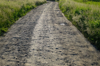 Dirt road on field