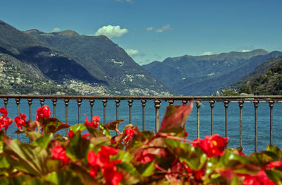 Lake como,italy