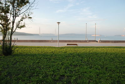 Scenic view of field against sky