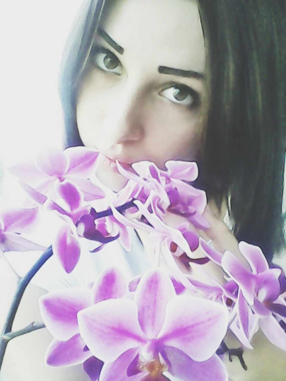 flower, pink color, person, fragility, indoors, petal, freshness, close-up, portrait, childhood, front view, flower head, looking at camera, focus on foreground, lifestyles, young women, purple, girls