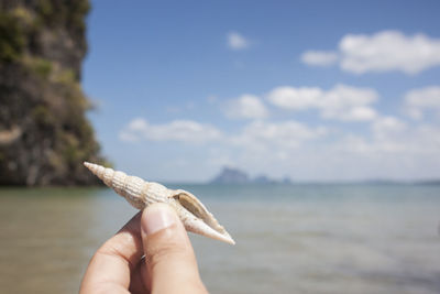 Cropped image of hand holding seashell against sea at beach