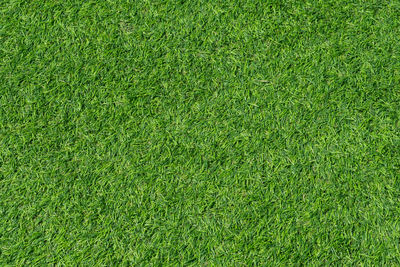 Full frame shot of grass