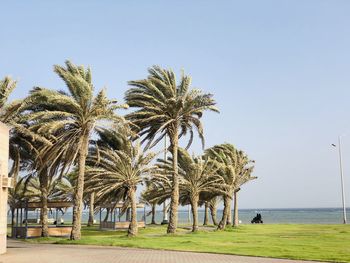 Palm trees by sea against clear sky