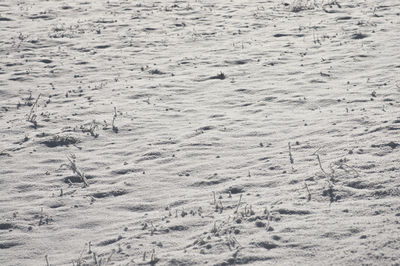 Full frame shot of snow covered field