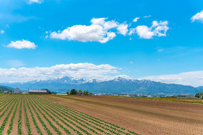 Scenic view of agricultural field against sky