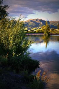 Reflection of clouds in lake