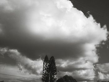 low angle view