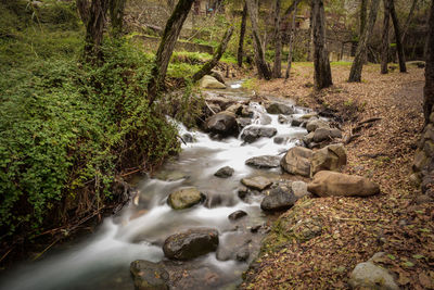 Stream flowing through rocks in forest