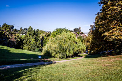 Trees and plants in park against clear blue sky