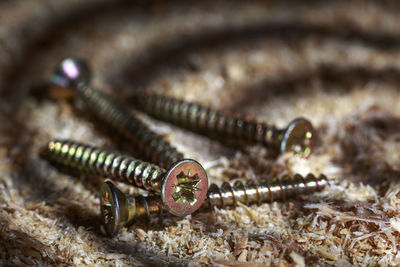 Close-up of screws