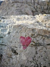 Close-up of heart shape on rock