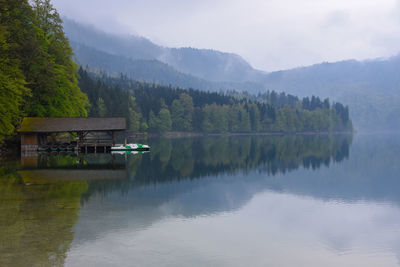 Tranquil lake scene with mist at schwangau germany
