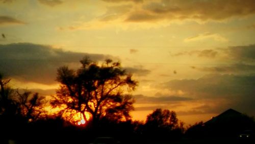Silhouette trees against sky during sunset