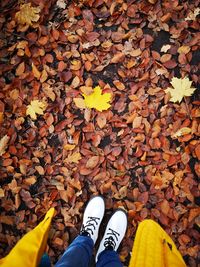 Low section of person standing on autumn leaves