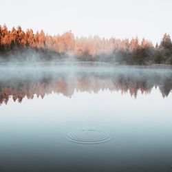 Reflection of trees in lake against sky