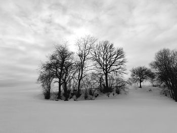 Bare trees on snow covered field against sky