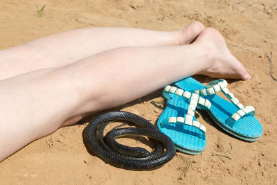 A black venomous snake lies next to a sunbathing woman on the beach,