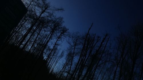 Low angle view of silhouette bare trees against blue sky