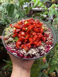 food and drink