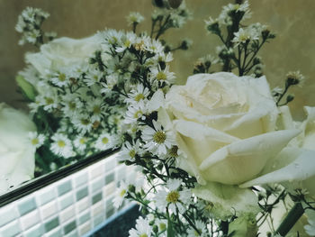 Close-up of white flowering plant