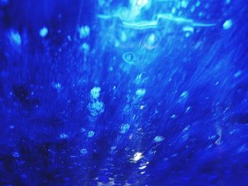 Close-up of blue underwater