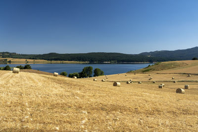 Scenic view of field against clear blue sky