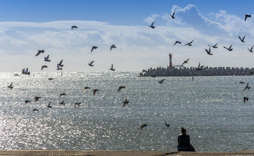 Birds flying over sea against sky