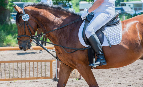 Man riding horse