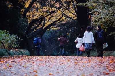 Rear view of people walking on street during autumn at shinjuku gyoen