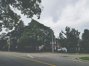 Empty road along trees