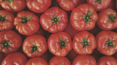 Full frame shot of tomatoes for sale at market stall