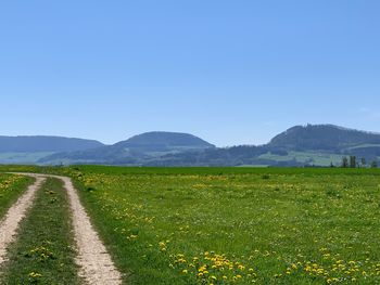 Scenic view of field against clear sky