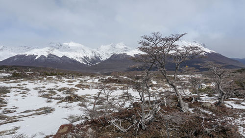 Scenic view of snowcapped mountains against sky