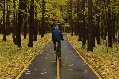 Rear view of man cycling on road in forest