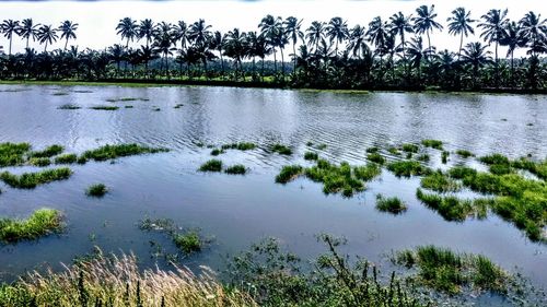 Scenic view of lake against sky