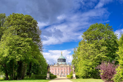 Trees and plants in garden against sky