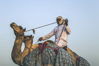 View of a horse on desert against clear sky