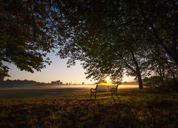 Trees on field against sky during sunset