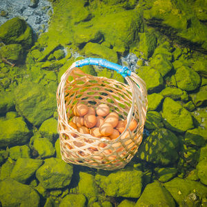 High angle view of wicker basket with eggs in hot spring pond