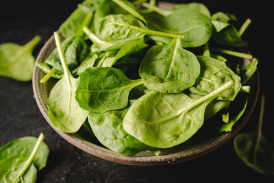 Close-up of fresh green leaves