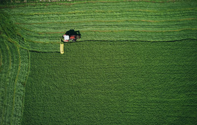 Tractor working on green field furrowing wheat