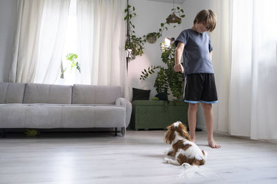 Boy,  plays with dog at home. cute puppy cavalier king charles spaniel. kids play with puppy 