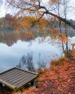 Scenic view of lake by trees during autumn