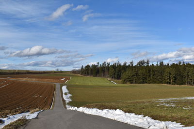 Road amidst trees against sky