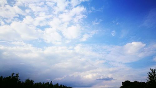 Low angle view of trees against blue sky