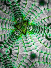 Close-up of caterpillar on plant