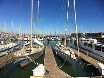 Sailboats moored at harbor against clear sky