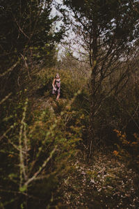 Girl walking amidst trees in forest