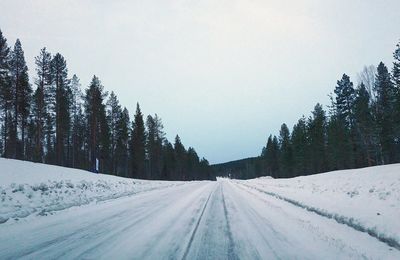 Road amidst trees against sky during winter