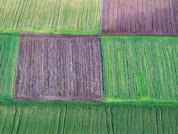 Full frame shot of patchwork landscape